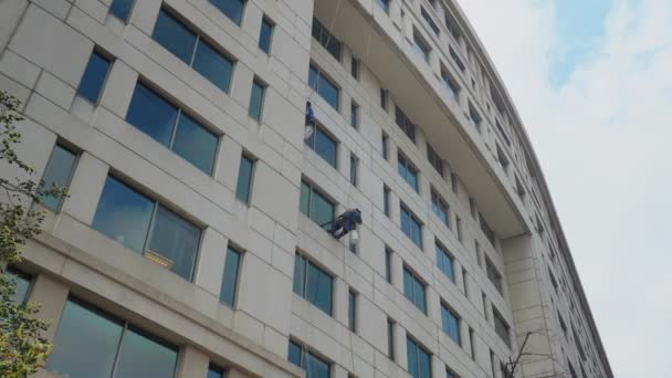 Window Washers Swing on Ropes — Stock Video