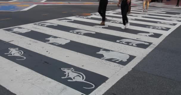 Az emberek a crosswalk, Washington Dc Chinatown — Stock videók