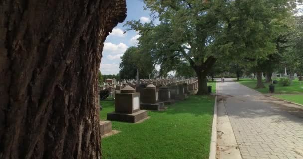 Dolly Right Establishing Shot of Congressional Cemetery em Washington DC — Vídeo de Stock