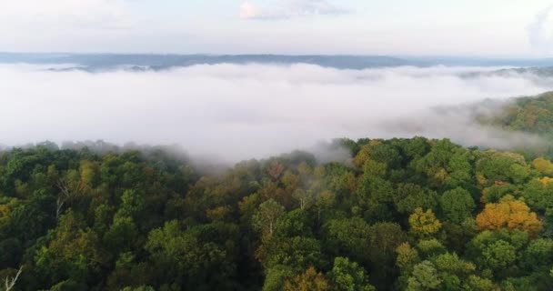 Εναέρια πρωινή ομίχλη τη θέσπιση Shot Πενσυλβάνια δάσος — Αρχείο Βίντεο