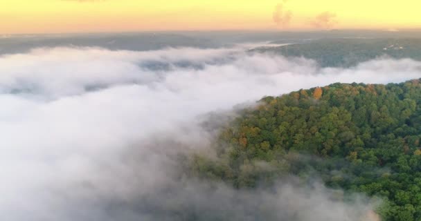 Εναέρια πρωινή ομίχλη τη θέσπιση Shot Πενσυλβάνια δάσος — Αρχείο Βίντεο