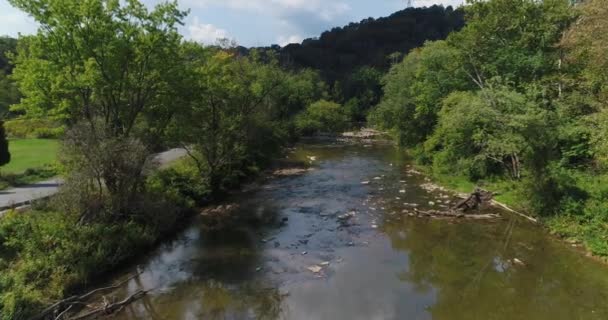 Magas előre Légifelvételek a kis patak, a Nyugat-Pennsylvania völgyben — Stock videók
