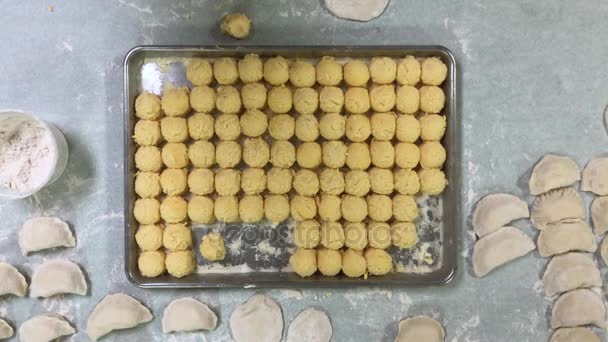 Bird's Eye View of Potato Balls Filling for Pierogies — Stock Video