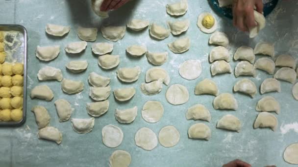 Vista a volo d'uccello di signore pizzicando pierogie — Video Stock