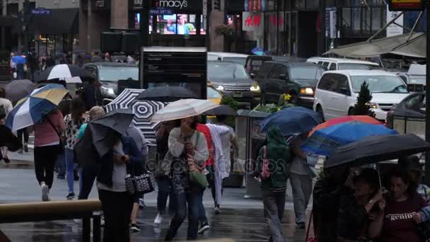 Voetgangers met paraplu's in regenachtige straten van Manhattan — Stockvideo