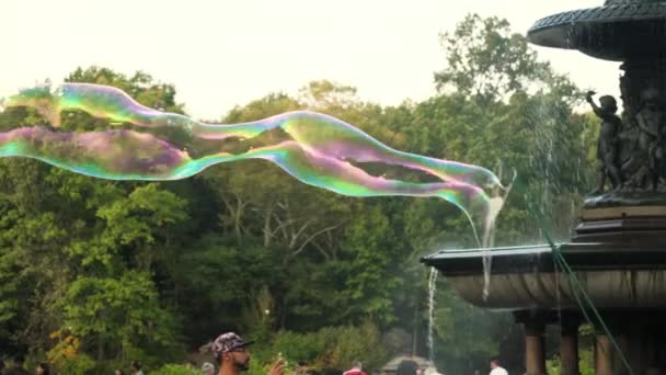 Central Park Entertainer Blow Large Bubbles for Crowd — Stock Video