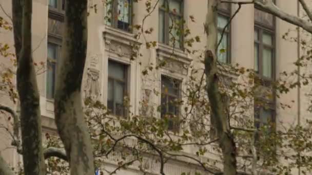 Bâtiments de bureaux typiques de Manhattan vus à travers les arbres — Video