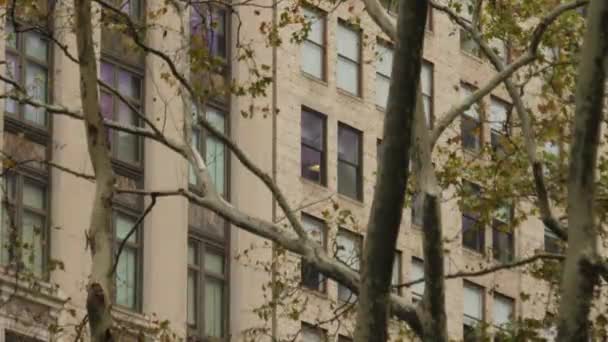 Типовий Манхеттен офісних будівель як видно крізь дерева — стокове відео