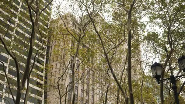 Tipici edifici per uffici di Manhattan visti attraverso gli alberi — Video Stock