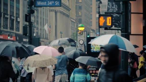 Пешеходы с зонтиками на дождливых улицах Манхэттена — стоковое видео