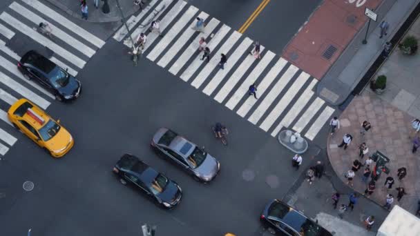 맨해튼에서 5 번가에 소통량과 보행자의 슬로우 모션 높은 각도 보기 — 비디오