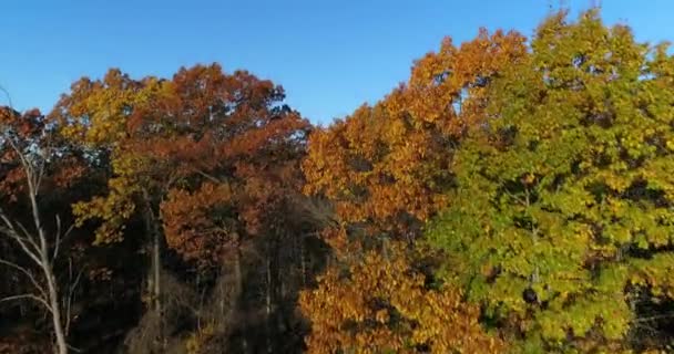 Stigande morgon landsbygd upprätta skott Pennsylvania skog — Stockvideo
