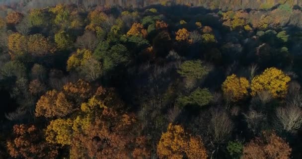 Драматический воздушный вид на долину Атумн в Пенсильвании — стоковое видео