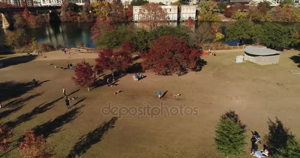 テキサス州オースティンの近くに犬公園のハイアングル — ストック動画