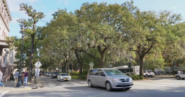 Ημέρα για την ίδρυση στιγμιότυπο της κυκλοφορίας σε Savannah δέντρο φόδρα Street — Αρχείο Βίντεο