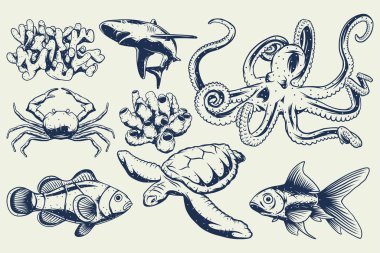 Bir köpekbalığı, küçük balık, mercan, ahtapot ve kaplumbağa çizimleri..