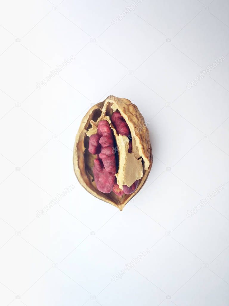 Isolated nut with red core on a white background