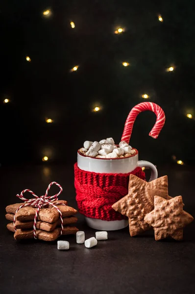 Hot Chocolate with Gingerbread Cookies — Stock Photo, Image