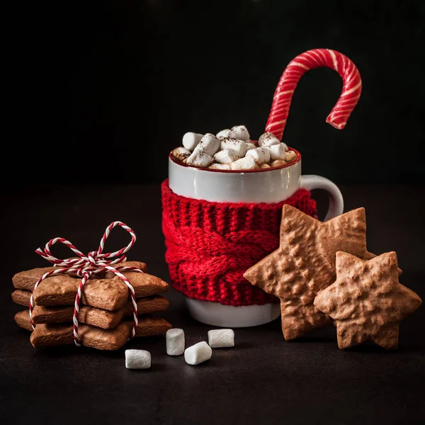 Hot Chocolate with Gingerbread Cookies — Stock Photo, Image