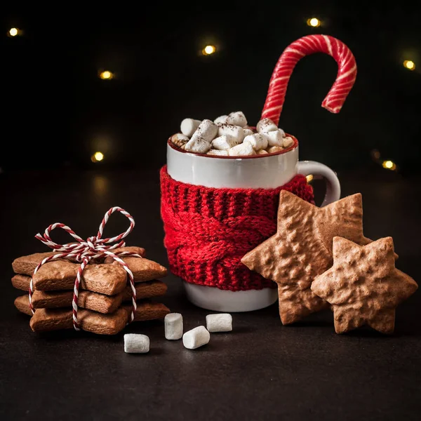 Cup Hot Chocolate Marshallows Gingerbread Cookies Square — Stock Photo, Image