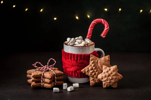 Cup Hot Chocolate Marshallows Gingerbread Cookies Copy Space Your Text — Stock Photo, Image