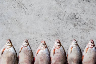 Nehir Balığı Arkaplanı, metin için alanı kopyala