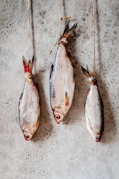 Salting Roaches, Handing to Dry and Salt through, copy space for your text — Stock Image Salting Roaches Handing Dry Salt Copy Space Your Text Royalty Free Stock Photos