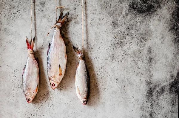 Salting Roaches, Handing to Dry and Salt through, copy space for your text — Stock Image Salting Roaches Handing Dry Salt Copy Space Your Text Royalty Free Stock Photos