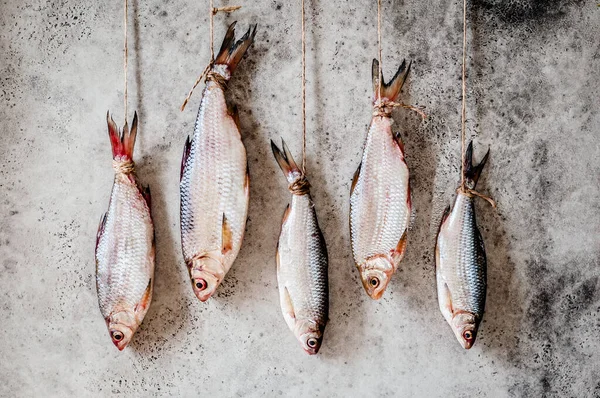 Salting Roaches, Handing to Dry and Salt through — Stock Image Salting Roaches Handing Dry Salt Stock Photo