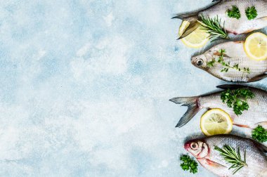 Nehir Balığı Arkaplanı, metin için alanı kopyala