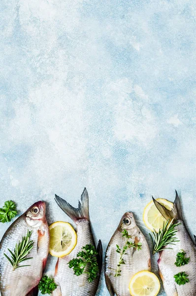 River Fish Background, copy space for your text