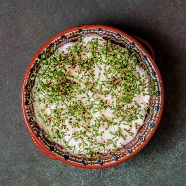 Islak pamuk üzerinde filizlenen Cress Salata Tohumları, kare