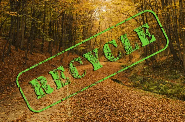 Recycle stamp on an autumn forest landscape — Stock Photo, Image