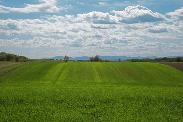 Une Vue Panoramique Sur Paysage Agricole Avec Ciel Nuageux Vibrant — Photo