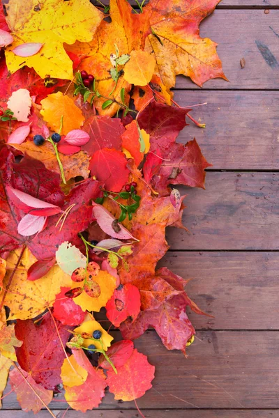 Herbst Blätter auf hölzernem Hintergrund Herbst — Stockfoto