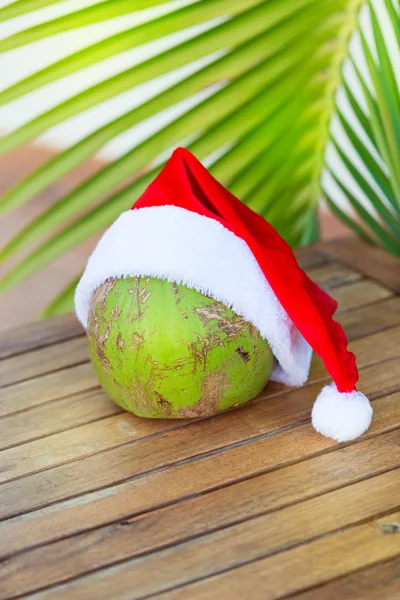 Cocco tropicale in un cappello rosso di Natale foglia di palma — Foto Stock