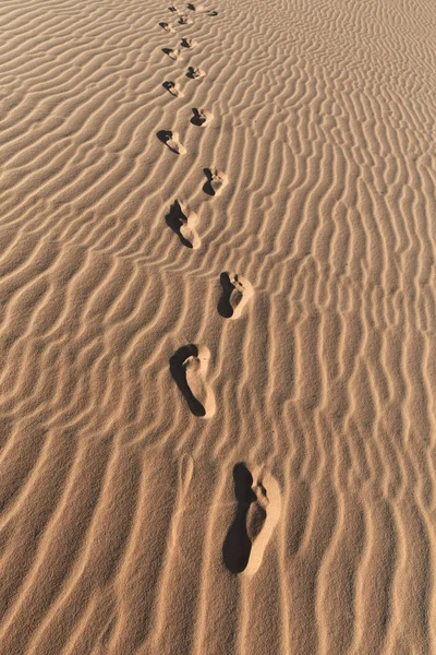 Huellas en un desierto de dunas de arena —  Fotos de Stock