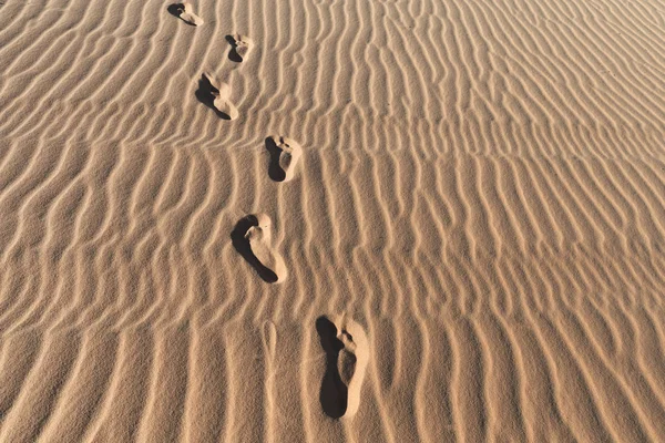 Huellas en un desierto de dunas de arena —  Fotos de Stock