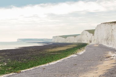 Beyaz uçurum Birling Gap Atlantic coast, İngiltere