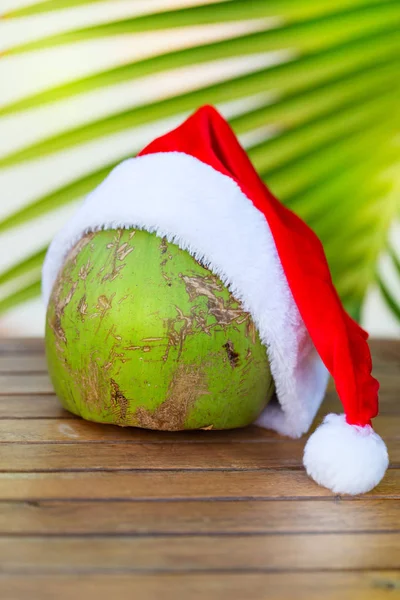 Tropische kokosnoot in een palmtak van Kerstmis rode hoed — Stockfoto