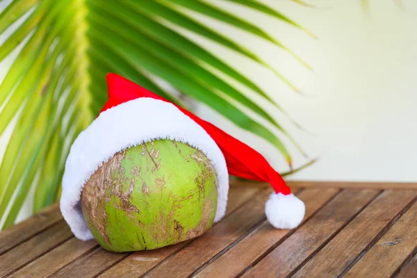 Cocco tropicale in un cappello rosso di Natale foglia di palma — Foto Stock