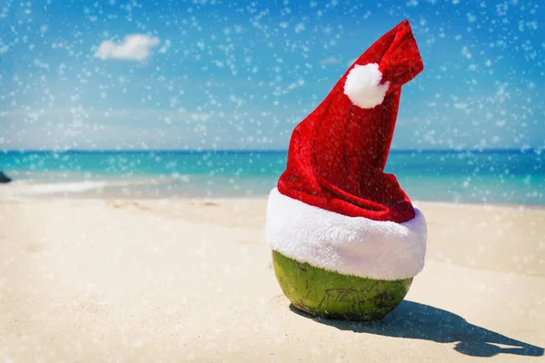 Kokos i Santa Jul hatt sand tropical beach — Stockfoto