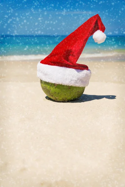 Kokosnuss in Weihnachtsmütze Sand tropischen Strand — Stockfoto