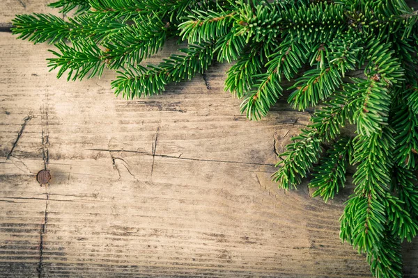 Navidad brotes de pino abeto fondo de madera —  Fotos de Stock