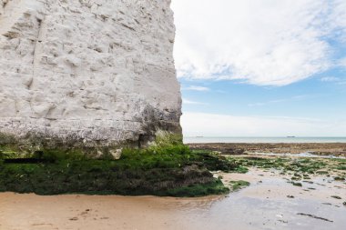 Beyaz kayalıklar botanik Bay La Manche Manş
