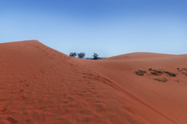 Kırmızı kumulları MUI Ne villiage, Vietnam