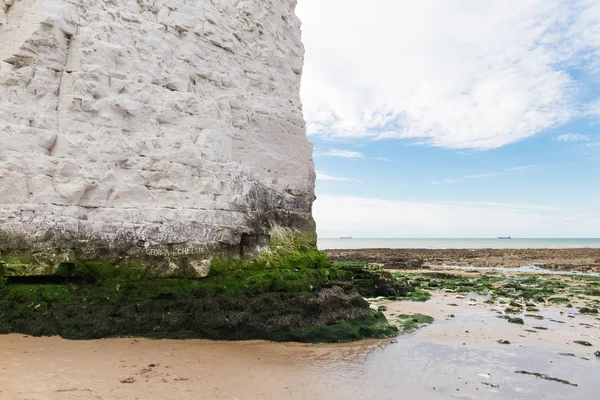 Beyaz kayalıklar botanik Bay La Manche Manş