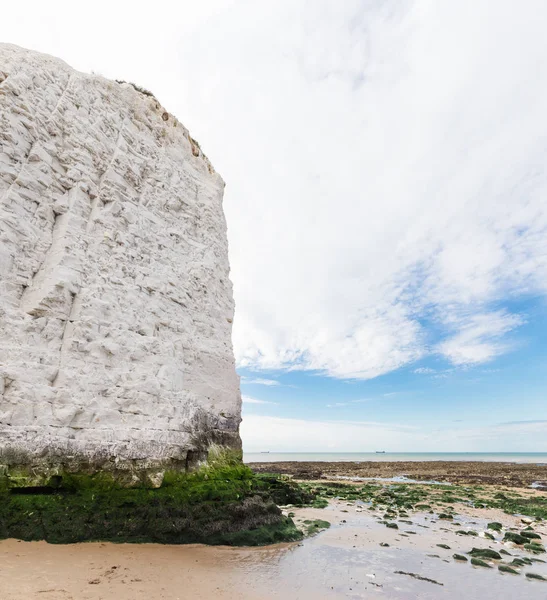 Falésias brancas Botany Bay La Manche canal Inglês — Fotografia de Stock