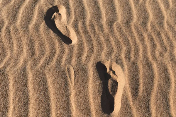 Huellas en un desierto de dunas de arena —  Fotos de Stock
