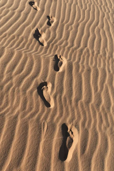 Pegadas em um deserto de dunas de areia — Fotografia de Stock